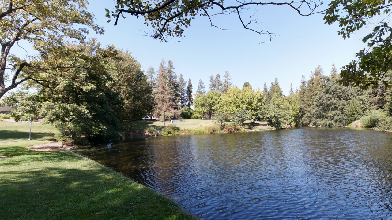 Lake at UC Davis Arboretum and Public Garden Davis CA